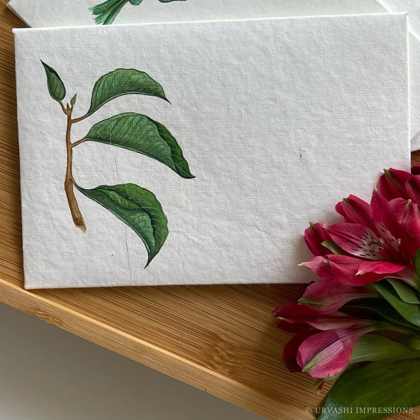 Daali Envelope